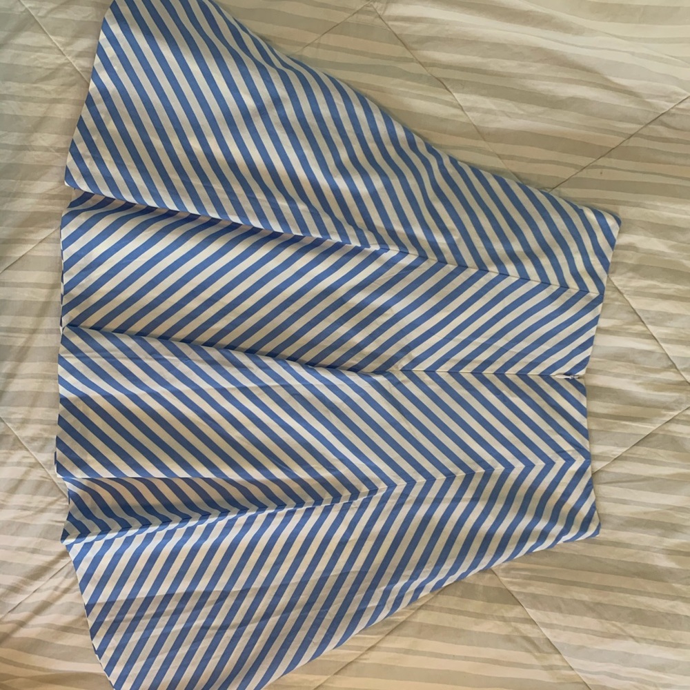 Ann Taylor skirt